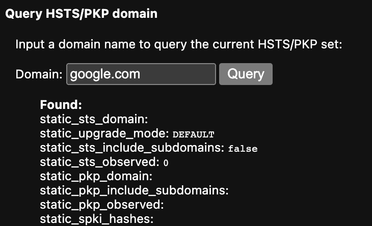 Screenshot der HSTS-Einstellung der Google-Domain in Query