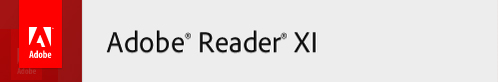 pdf_version_x.jpg