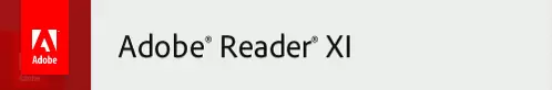 pdf_version_x.jpg